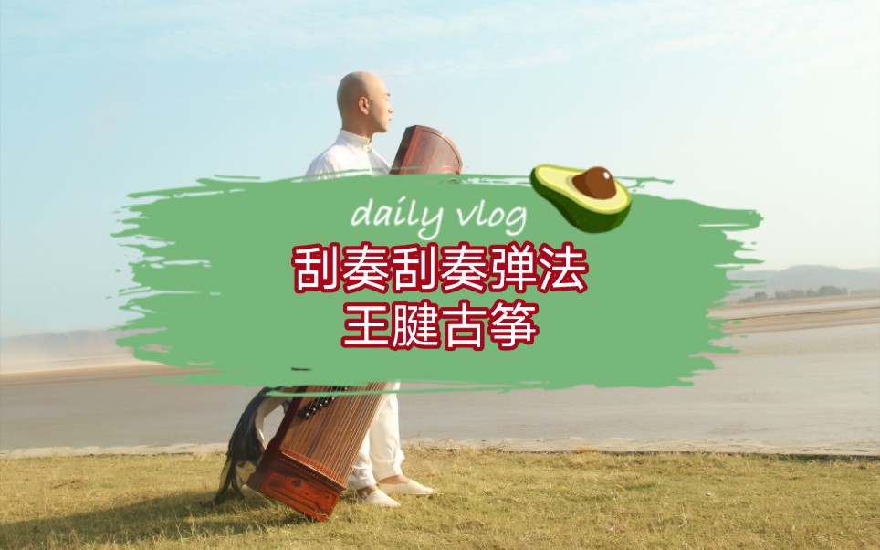 古筝刮奏花指弹奏要点教学视频-王腱古筝