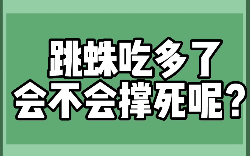 跳蛛吃多了会不会变成球呢?想啥呢,当然会变成球蛛啦!哔哩哔哩bilibili