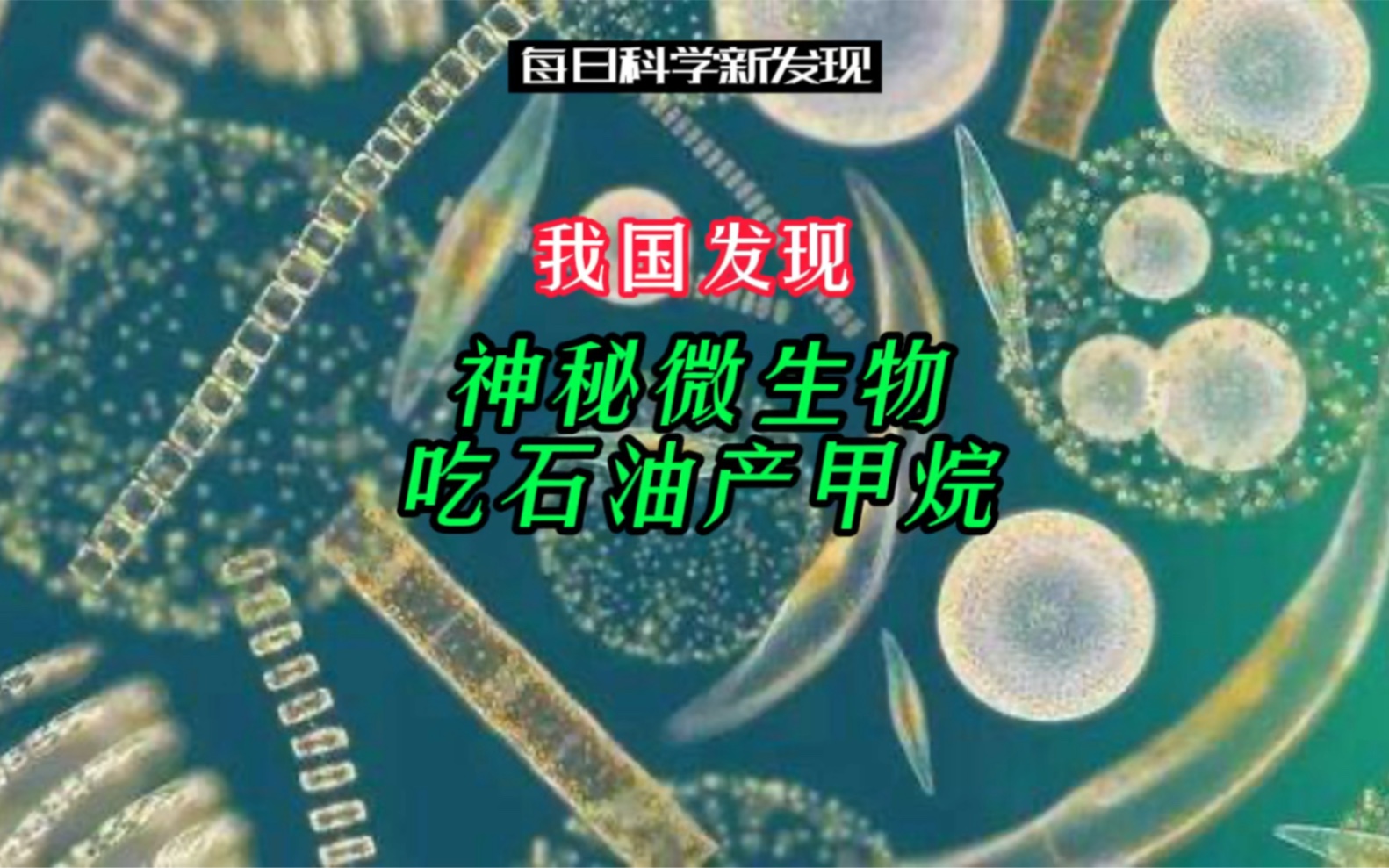 [图]【每日科学新发现】破解难题！我国发现神秘微生物吃石油产甲烷