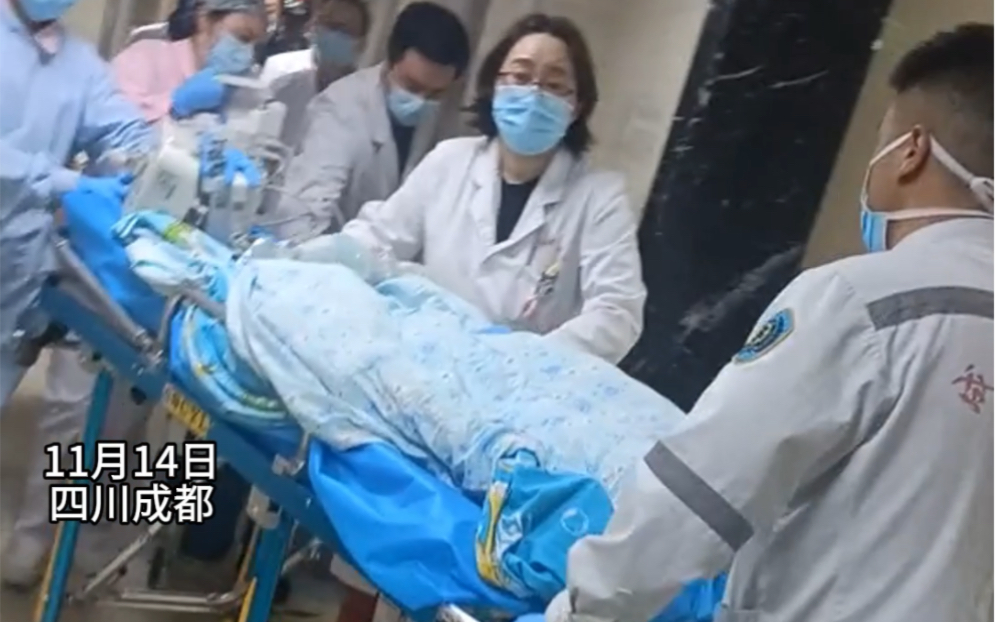 成都崇州被狗咬伤女童已经出院,目前身体各系统恢复顺利,愿小女孩能