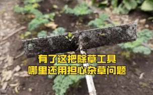 Скачать видео: 还在为杂草问题而烦恼，看看我们自己做的除草工具，如何高效的清理杂草