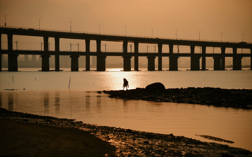 厦门海堤路&溪岸路_哔哩哔哩_bilibili