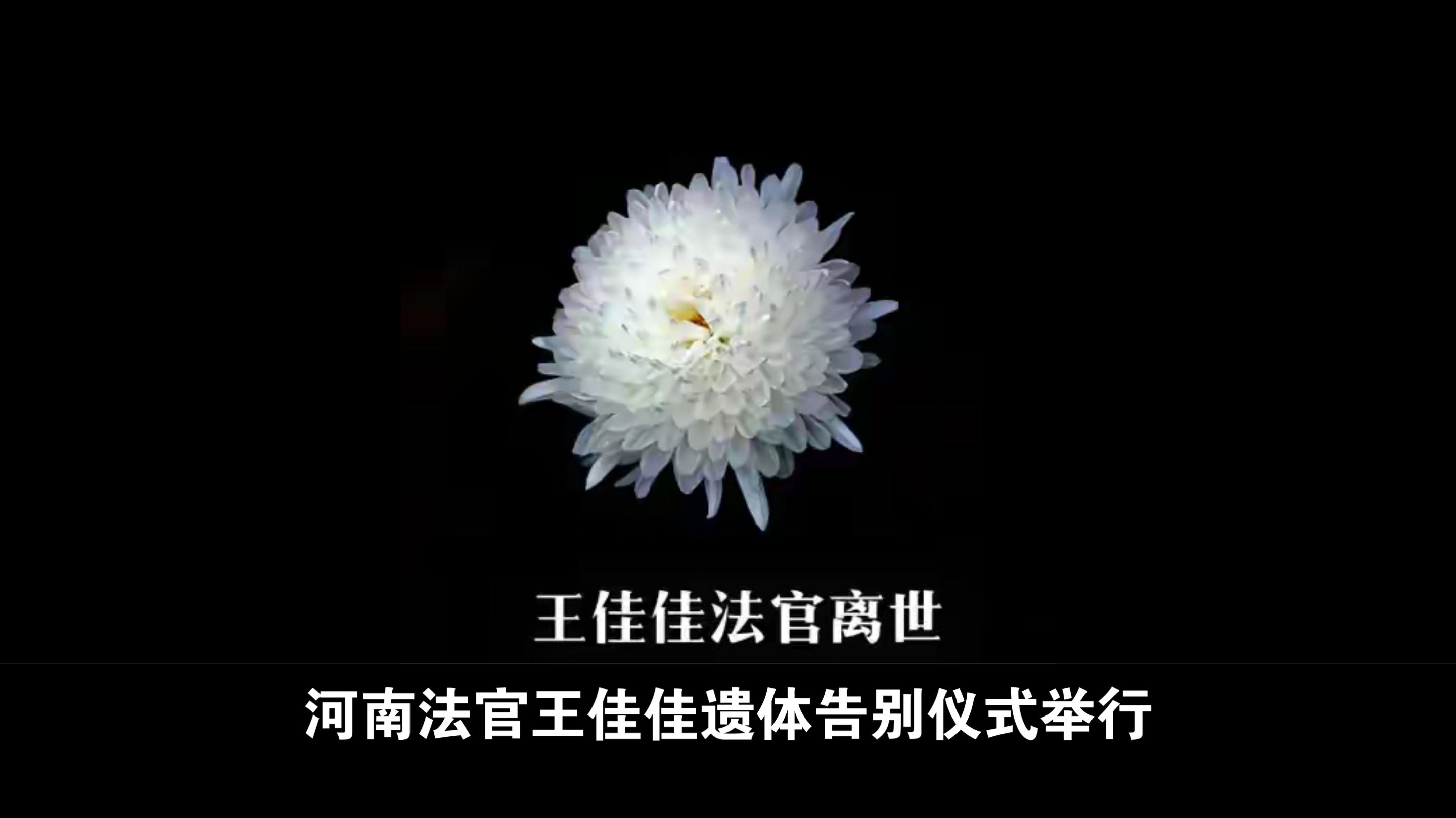 河南法官王佳佳遗体告别仪式举行 2024 年 8 月 16 日上午,最高人民法院党组成员、政治部主任李成林前往河南省漯河市,参加了王佳佳法官的遗体告别仪...