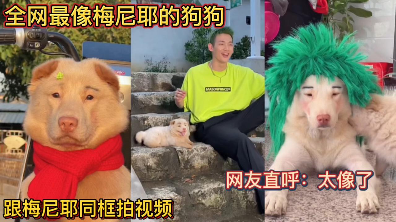 跟梅尼耶同框拍视频!网友直呼:太像了!