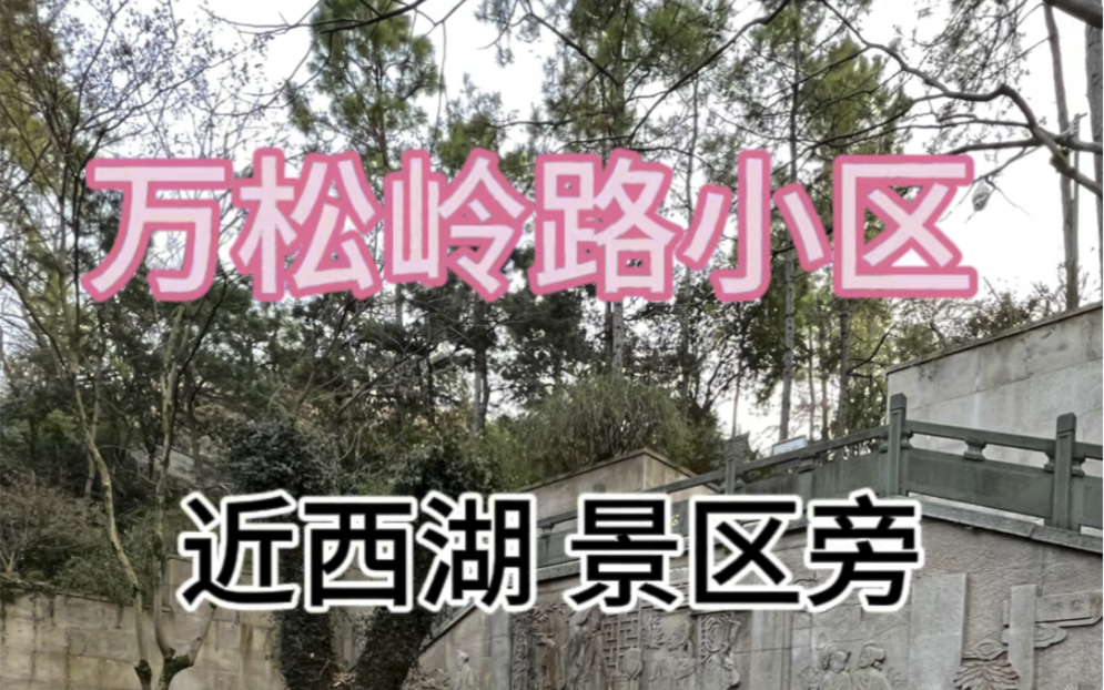 西湖景区住宅,万松书院旁,单价2.89万,满五不唯一,永久产权,57.07方,165万,一梯两户,闹中取静,全明户型!哔哩哔哩bilibili