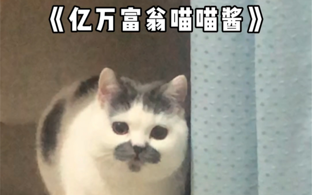 [图]这年头连八嘎猫都会画饼了