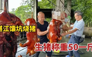 Download Video: 广东湛江，农庄里的馕坑烤猪，生猪称重50一斤烤两遍，蘸糖超好吃