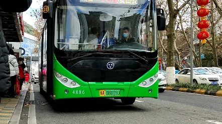 贵阳公交2021年新车万达纯电动客车wd6105bevg04原色涂装