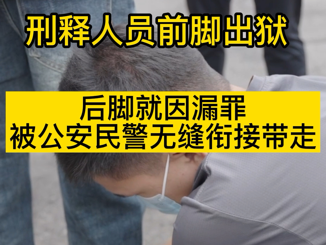 法网恢恢,无缝衔接哔哩哔哩bilibili