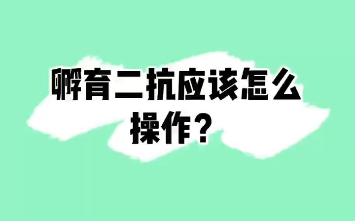 WB实验中,怎么进行二抗孵育?#WB#二抗#抗体#免疫印迹#科研实验哔哩哔哩bilibili