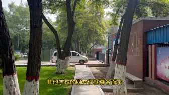 Download Video: 老银川街巷系列：“南薰路”和“南熏路边的雕塑”，这里充满了我的童年记忆，每一个元素都让我想起童年的一幕幕#历史 #童年 #银川