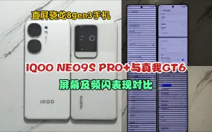 Download Video: IQOO Neo9S Pro+与真我GT6屏幕及频闪屏闪表现对比