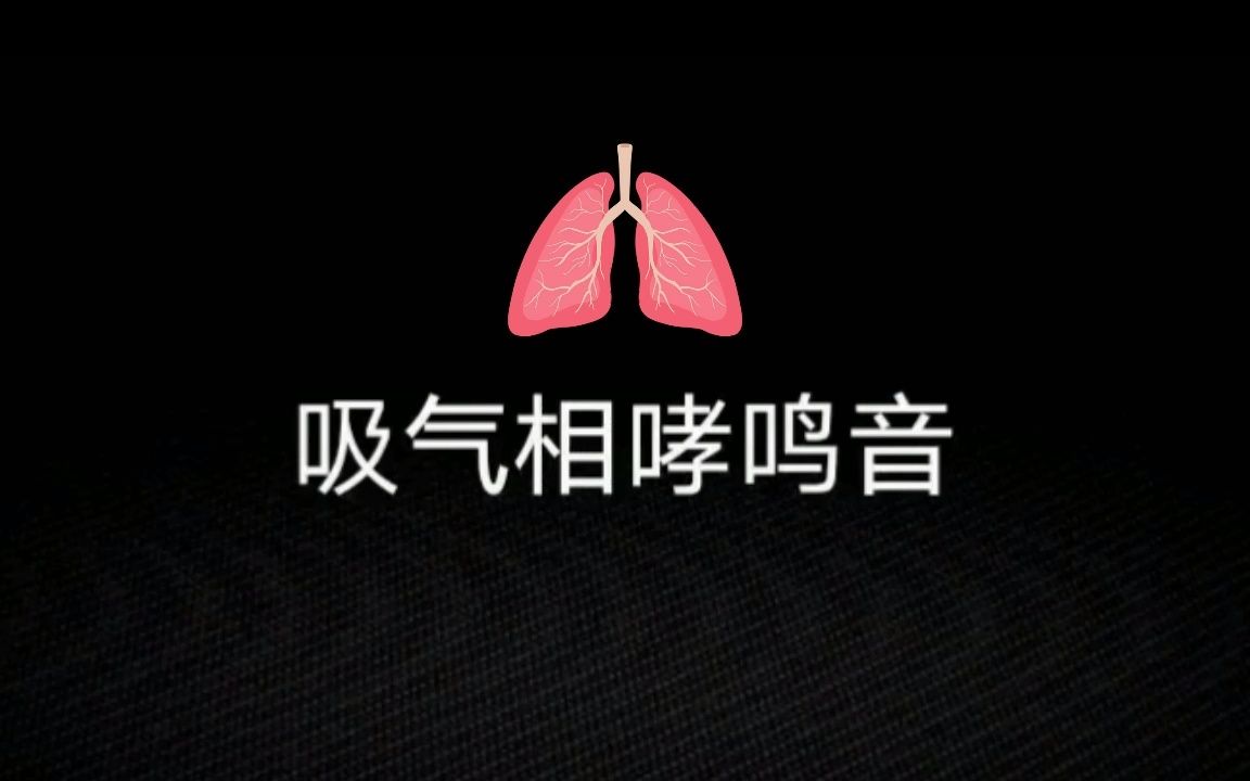 肺部听诊完整汇总(十分钟,可收藏)哔哩哔哩bilibili