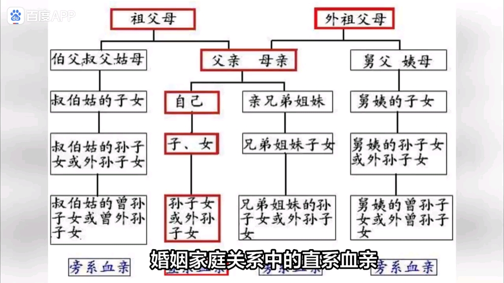 婚姻家庭关系中的直系血亲、旁系血亲、胞亲、姻亲各是什么意思?有什么区别?哔哩哔哩bilibili