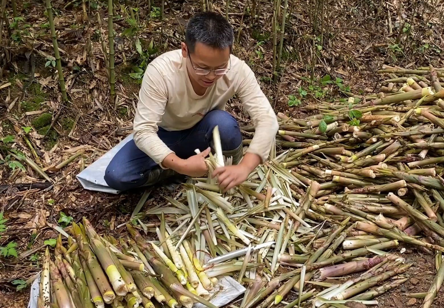 竹笋去壳有妙招,很多人还不知道,方法简单看一遍就能