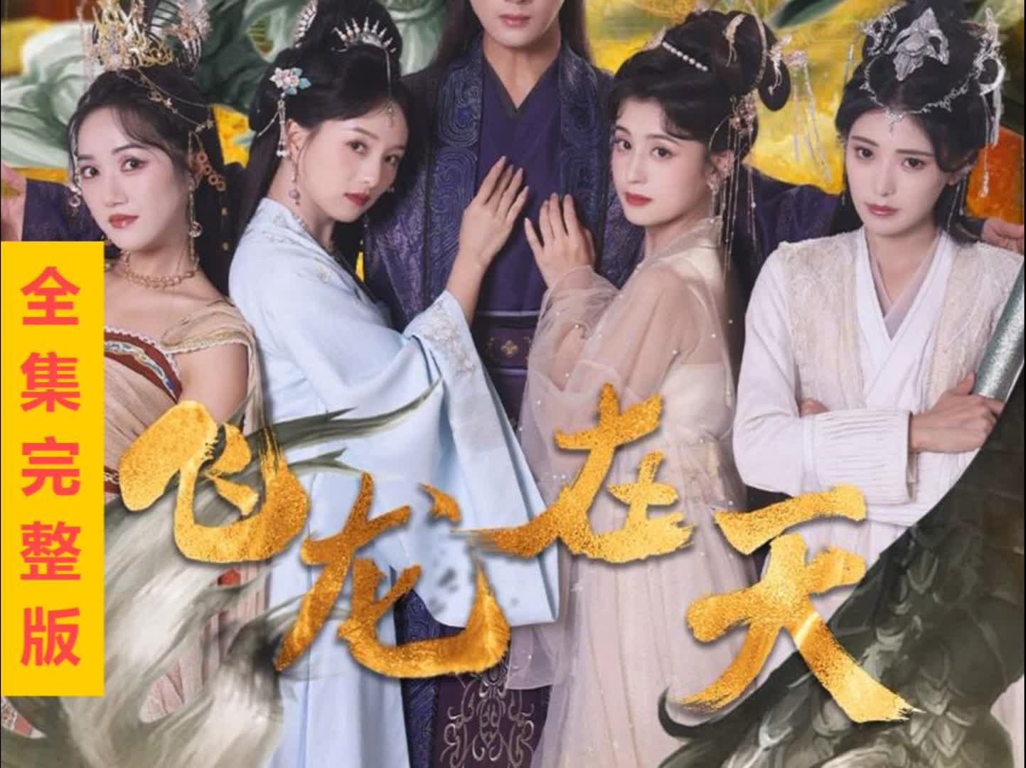 飞龙在天续集