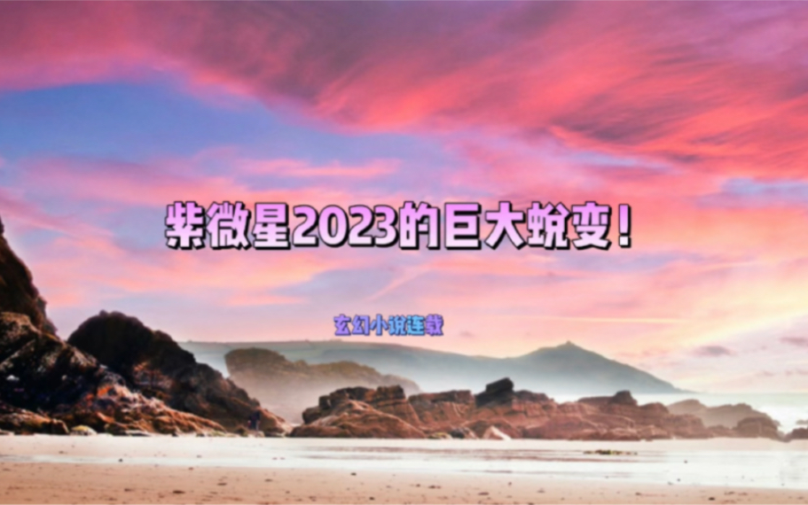 紫2023的巨大蜕变!(仅供娱乐!)哔哩哔哩bilibili