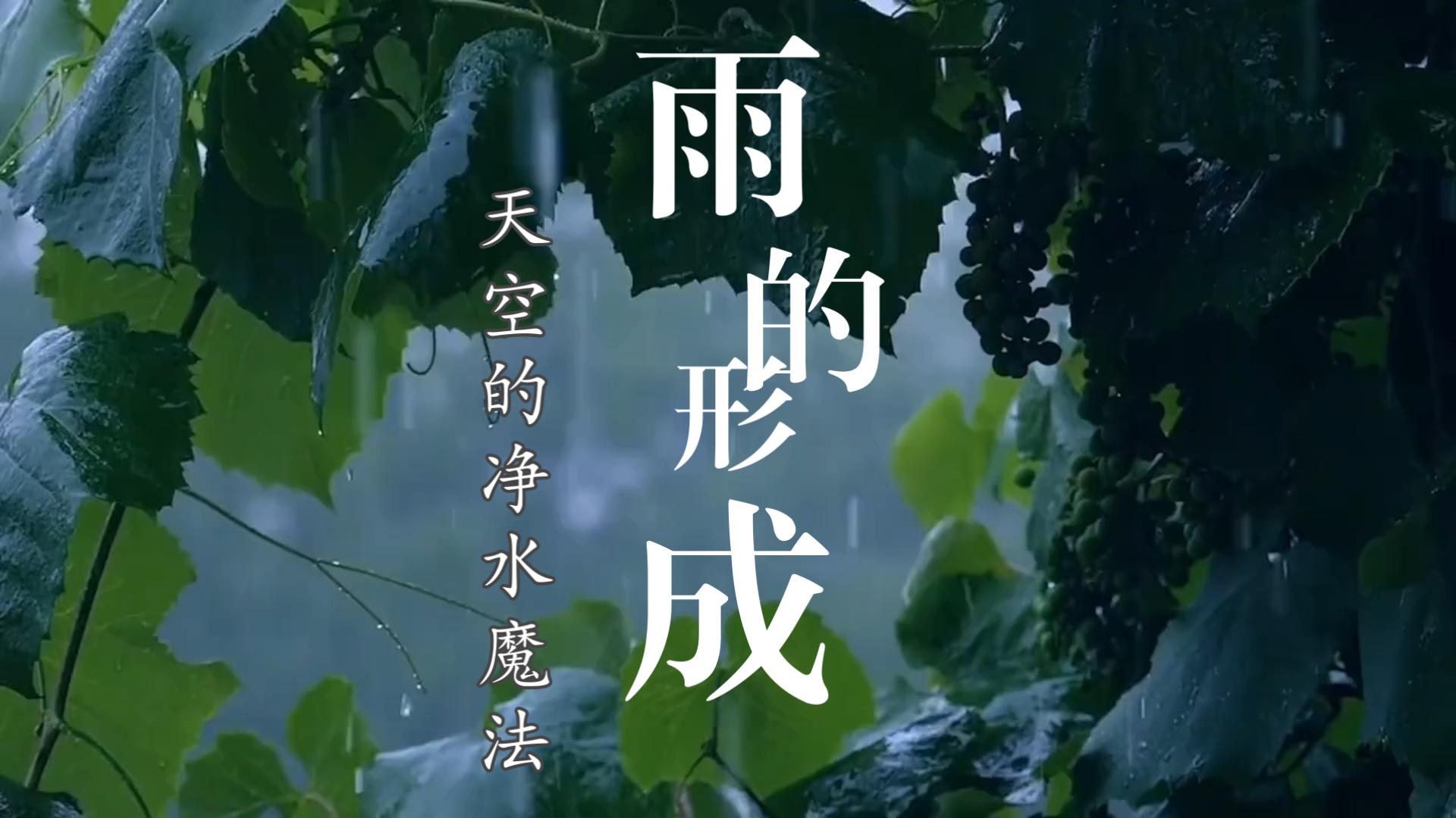 雨的形成——天空的净水魔法