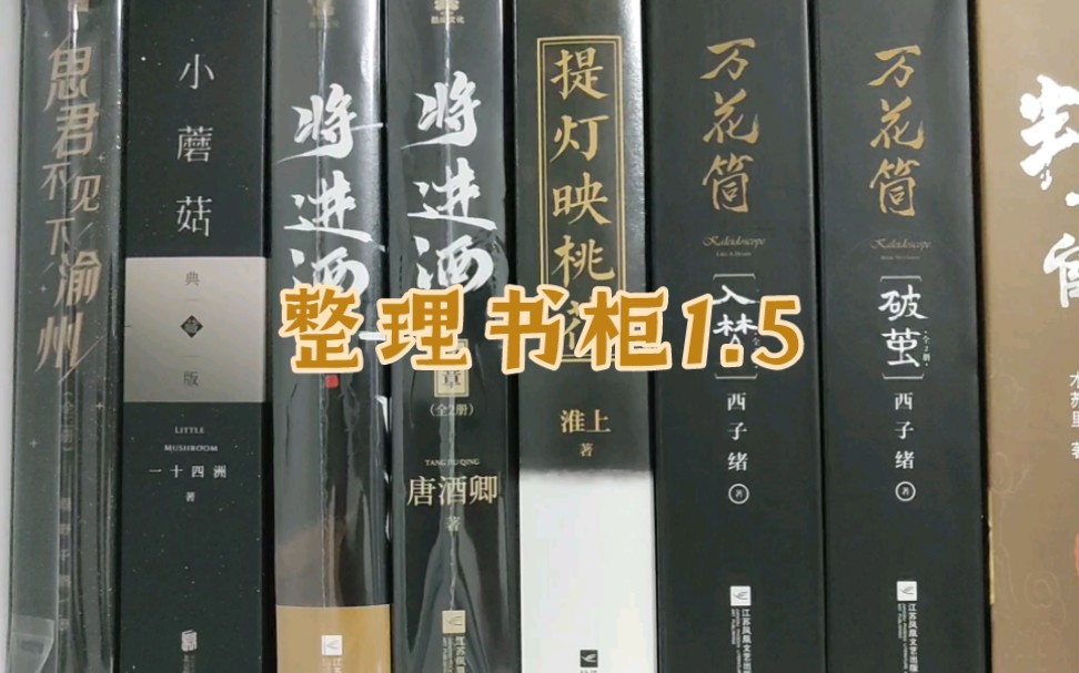 整理书柜1.5版本哔哩哔哩bilibili