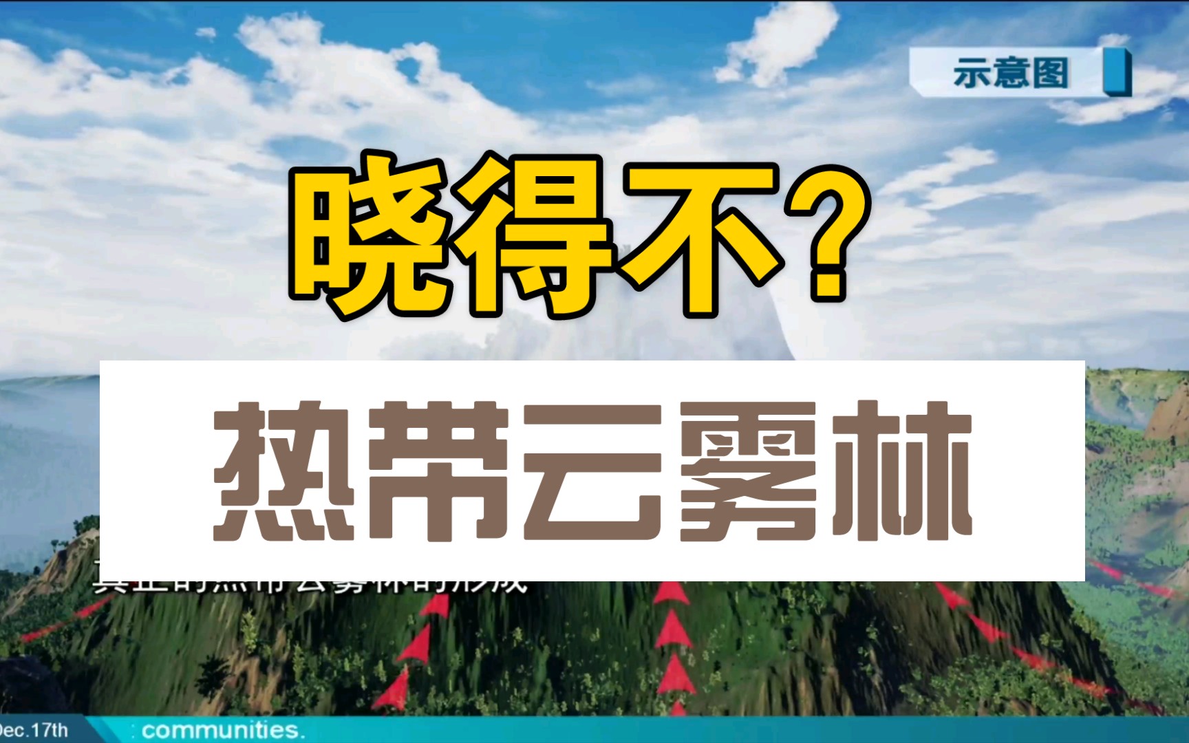 地理视频|“热带云雾林”你晓得不?哔哩哔哩bilibili