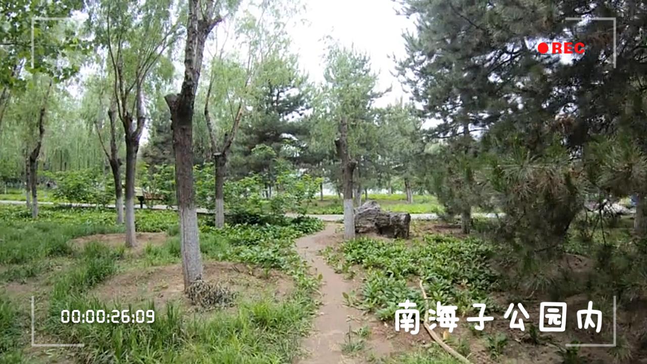 南海子公园一日游~哔哩哔哩bilibili