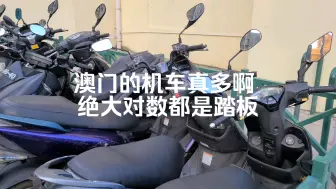 Download Video: 【旅游际遇系列】澳门机车真多，绝大部分都是踏板，真羡慕骑行环境