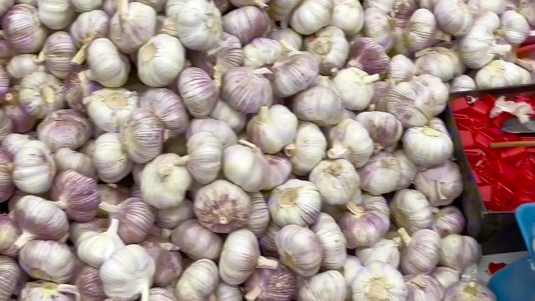 金乡精品高标大蒜