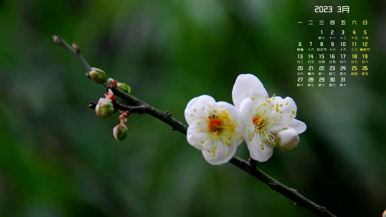 谧邻糙频钟倒美痈目浪录庸貉沾靥溉土惩苏B哔哩哔哩bilibili