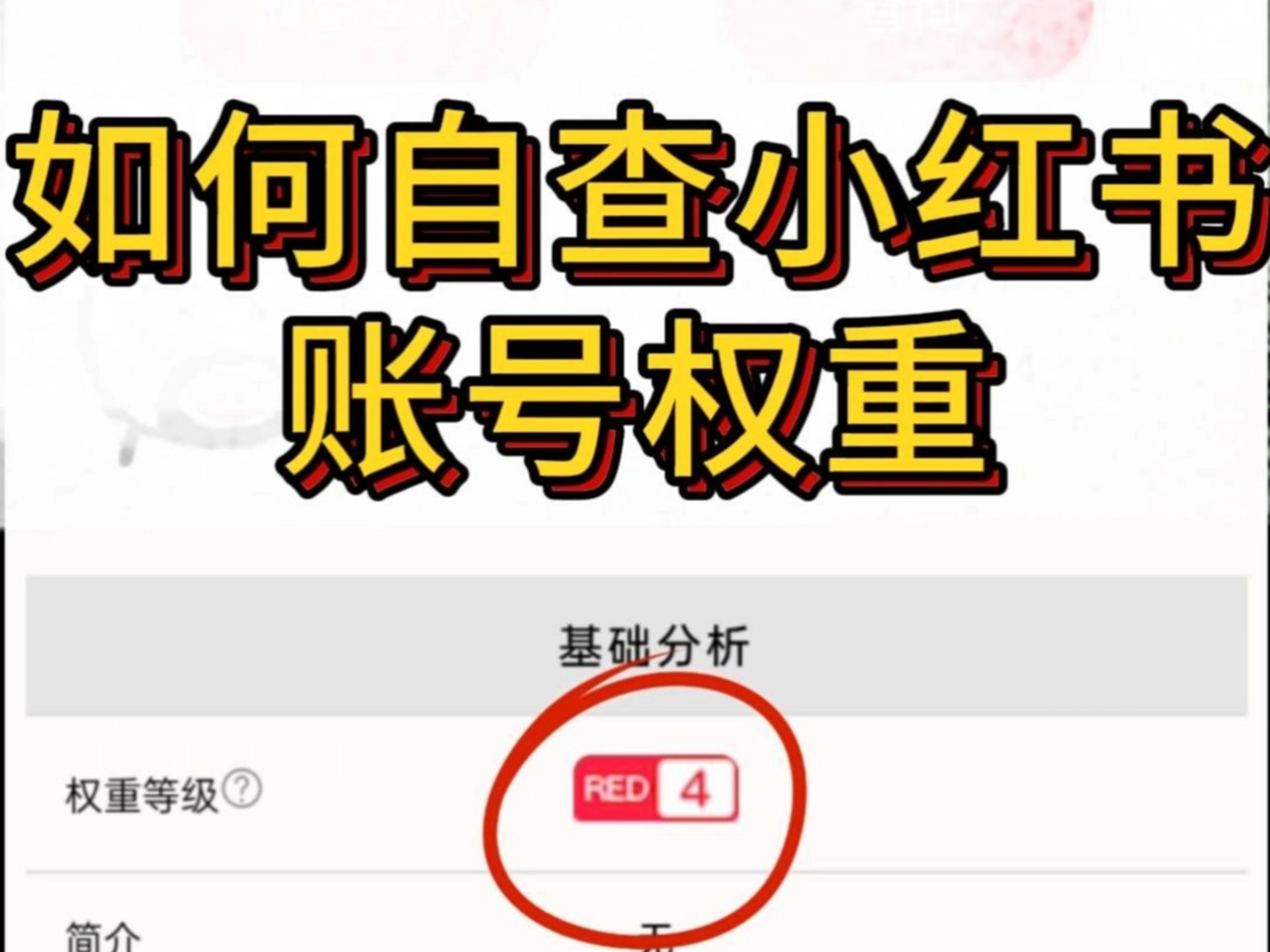 如何自查小红书账号权重哔哩哔哩bilibili