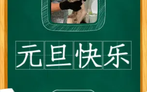 Télécharger la video: 我妈捡回了一只流浪猫