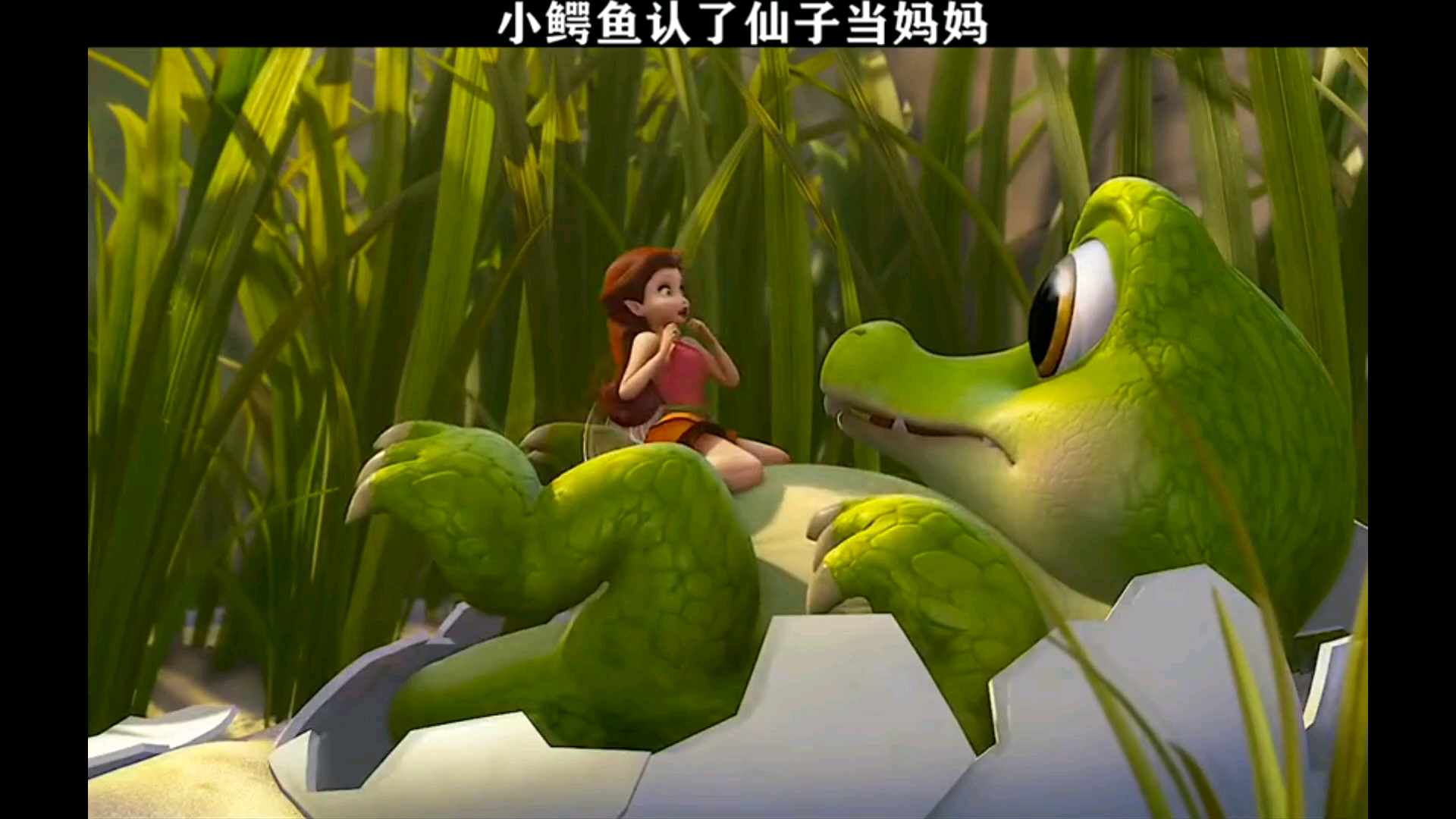 小叮当与海盗仙子