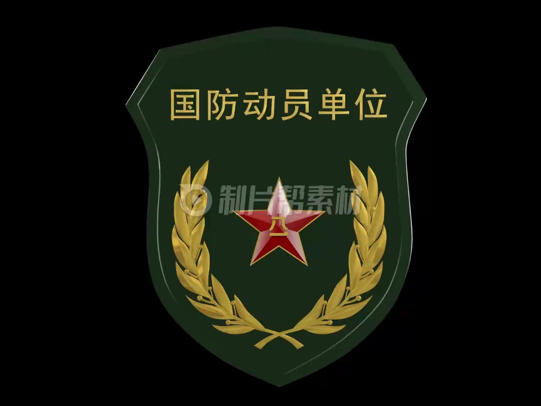 国防动员单位臂章通道视频