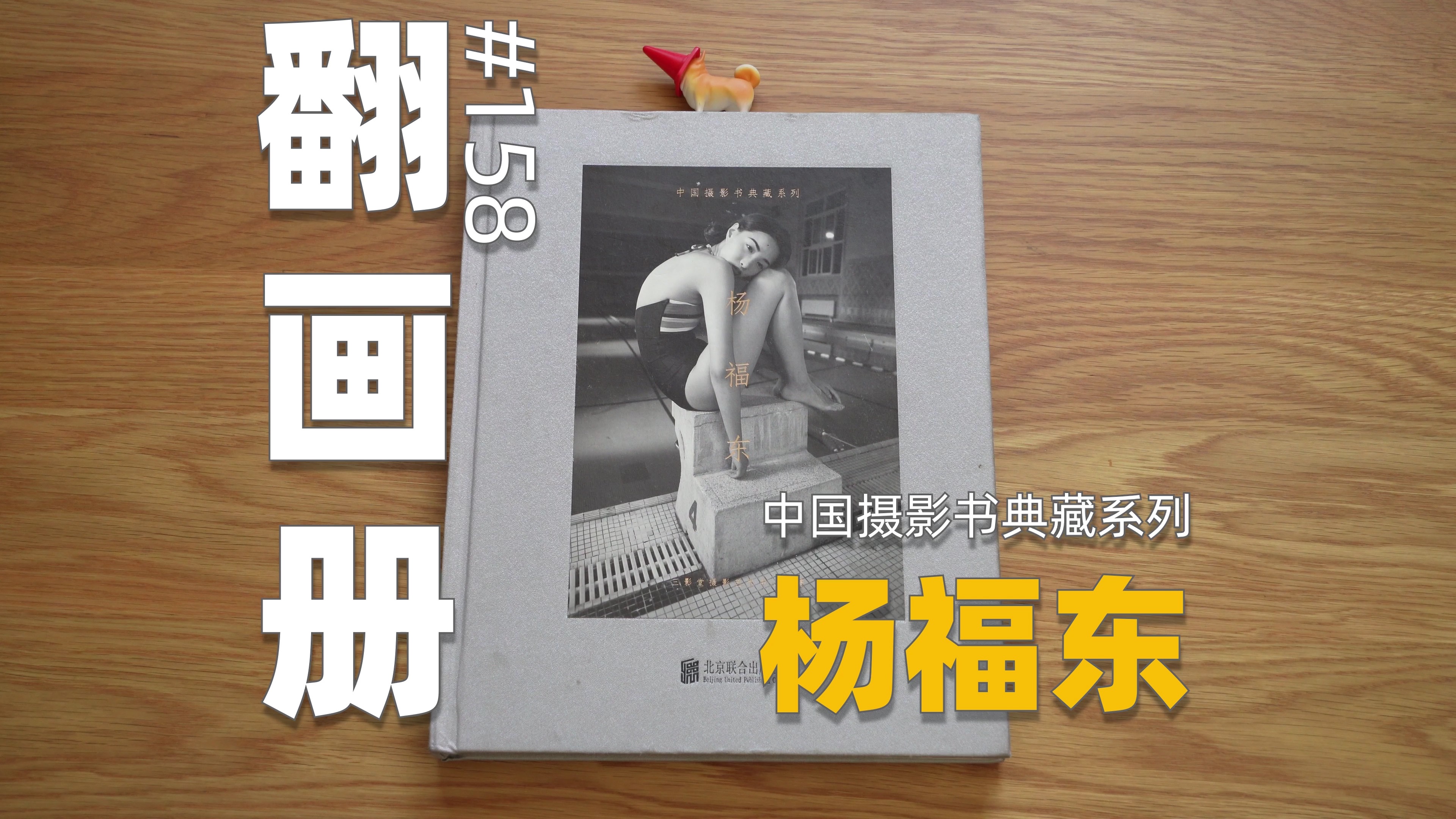 杨福东 - 中国摄影书典藏系列