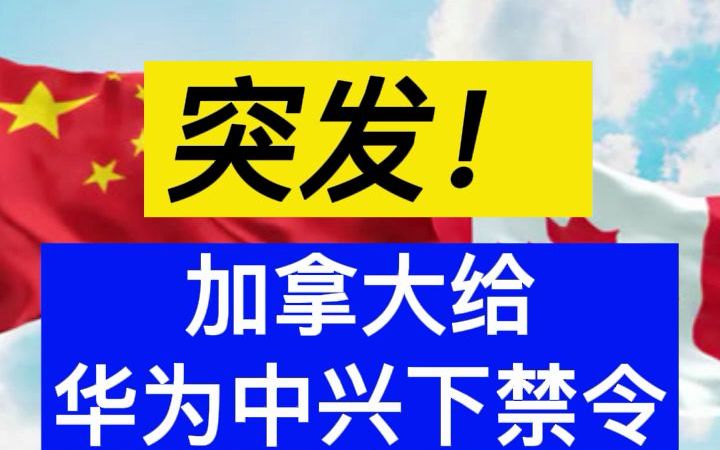 突发,加拿大禁止华为、中兴参与5G网络建设哔哩哔哩bilibili