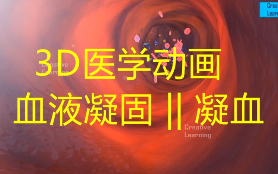 凝血,也称为凝血,是血液从液体变为凝胶,形成血凝块的过程.它可能会导致止血,即停止受损血管的失血,然后进行修复.哔哩哔哩bilibili