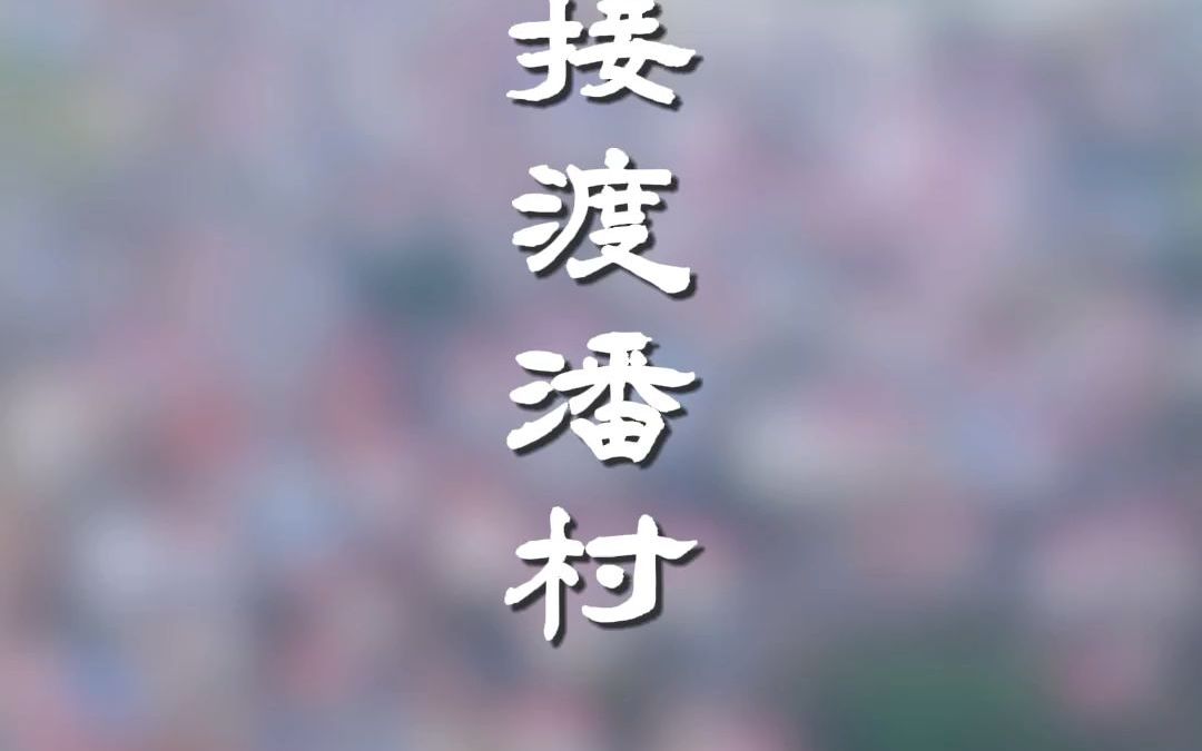 乐平汪氏最大的聚集地,接渡最大的村潘村哔哩哔哩bilibili