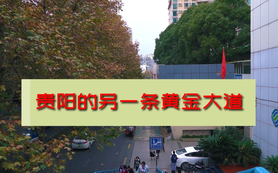 [图]贵阳老城区宝山路印象，贵阳的另一条黄金大道，梧桐树高大茂密，阴天行车要开车灯，巧影剪辑，简单加滤镜，会不会有电影感，跪求大神指导