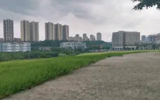 自律的短卡多么可怕（手动滑稽）