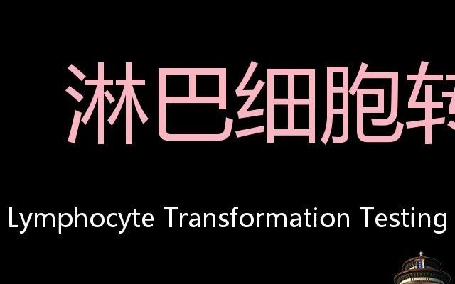 淋巴细胞转化实验 Chinese Pronunciation Lymphocyte transformation testing哔哩哔哩bilibili