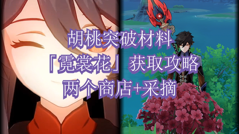 原神 胡桃突破材料 霓裳花 获取攻略两个商店 采摘 哔哩哔哩