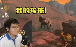 Download Video: 柯洁好不容易抓了一匹马取名叫珍珠 结果跳崖摔死 太难绷了！