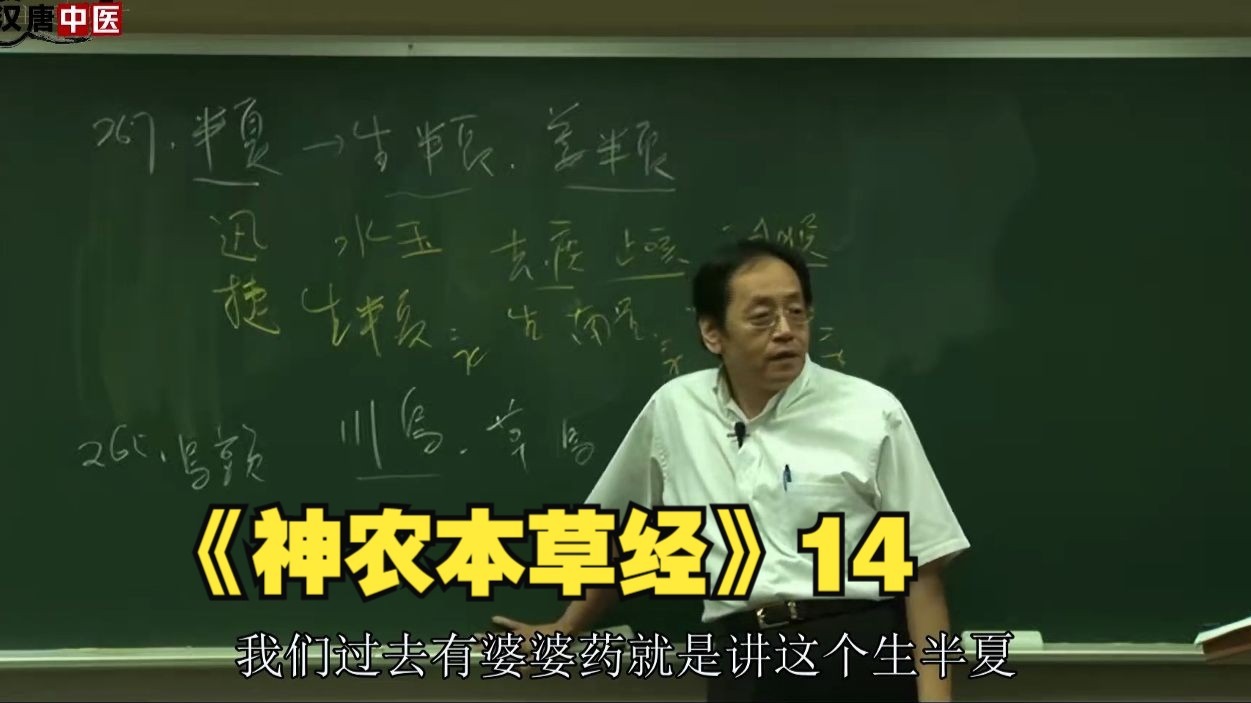 倪海厦《神农本草经》14
