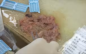 ...