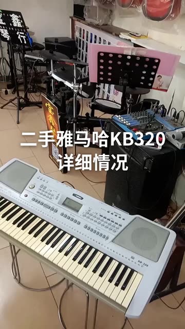 音乐 #电子琴 #扩展包