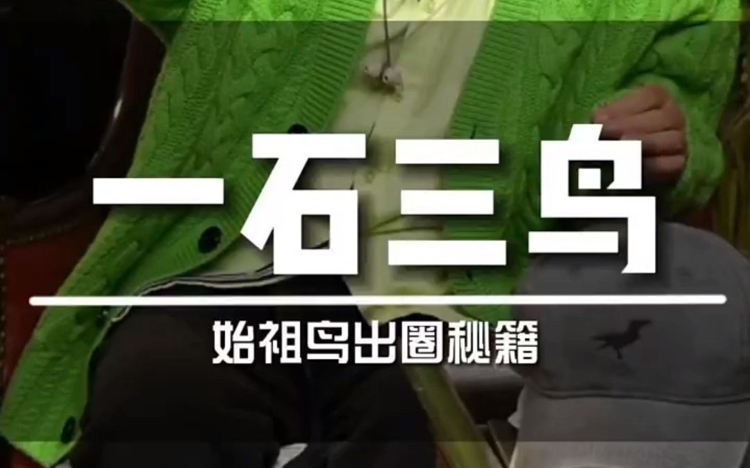 今年潮流界新宠始祖鸟 竟然也是安踏收入麾下的品牌哔哩哔哩bilibili