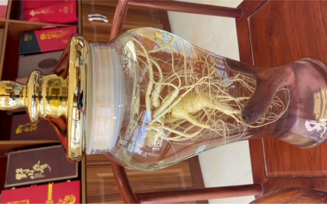 林下参大野籽泡酒标配现在泡酒～过年喝——30斤将军坛