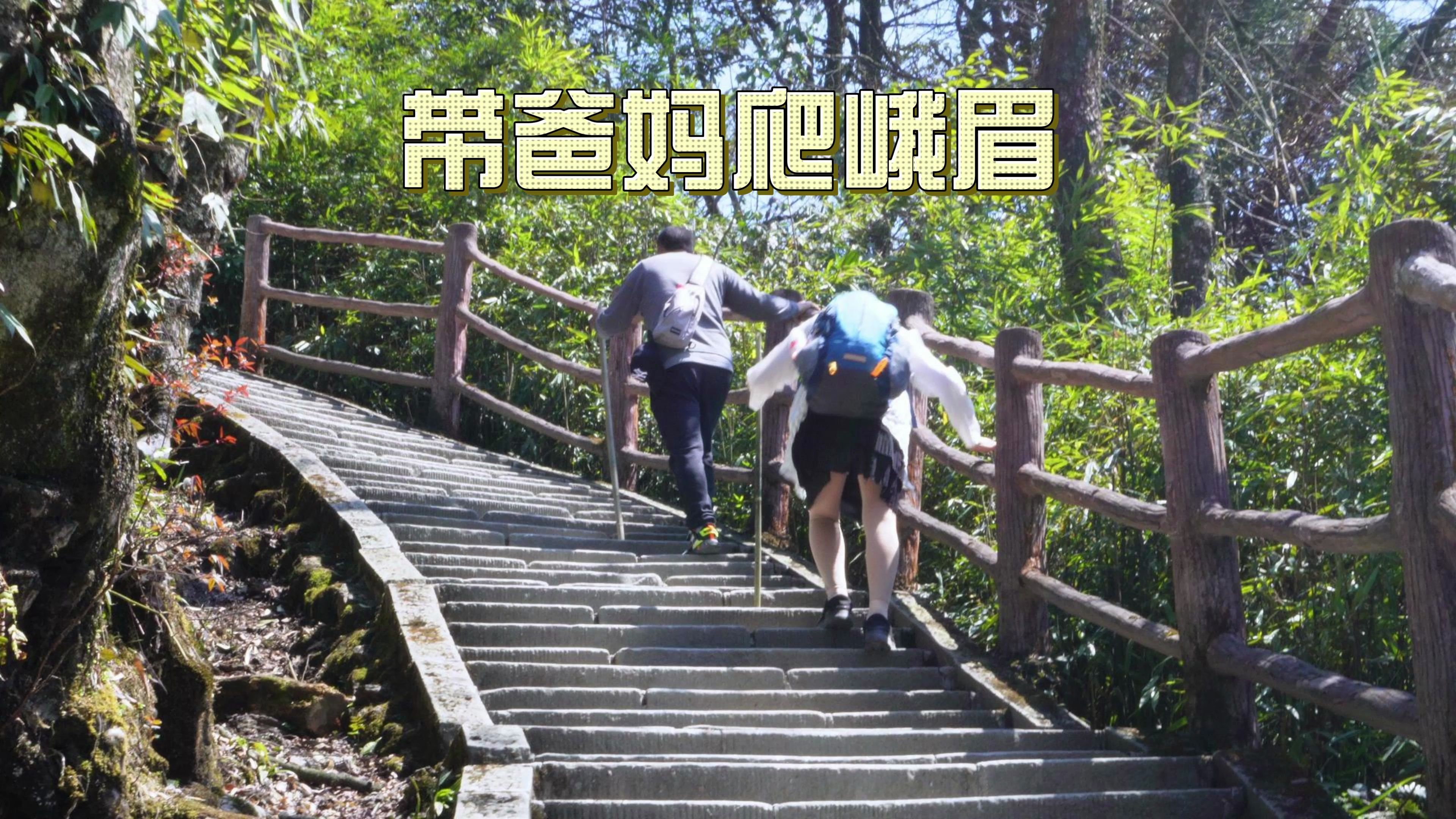 带爸妈去峨眉山的第2天,我后悔了!(含攻略)哔哩哔哩bilibili