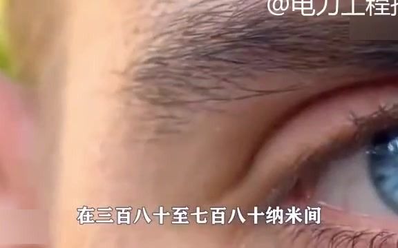 眼睛为什么可以看到颜色?色彩又是如何形成的?原理是什么哔哩哔哩bilibili