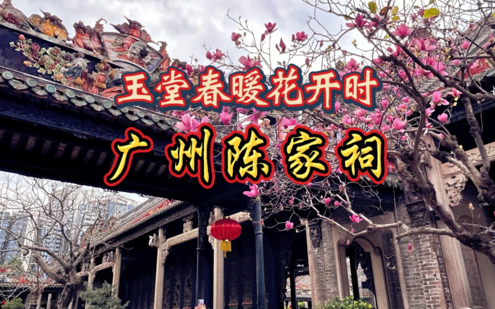 广州陈家祠的玉堂春开花了,打卡广州陈家祠.广州网红打卡点,是广州保存至今最完整最好的祠堂式建筑,大量的各种雕刻,叹为观止,是岭南建筑艺术的...