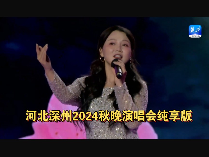 河北深州2024秋晚演唱会纯享版哔哩哔哩bilibili